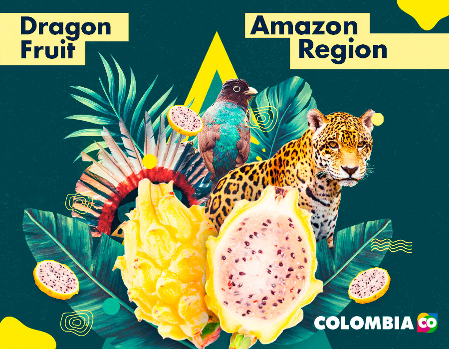 : Elements of the Amazon such as the jaguar and the pitaya. The latter is one of the tropical fruits of the region.