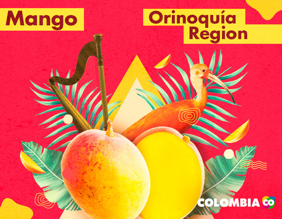 Mango is one of the tropical fruits of the Andean Region. Another element of the region is the harp.