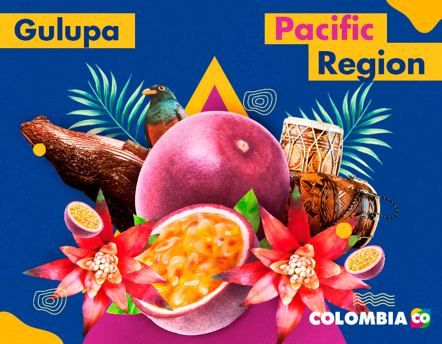 Elements of the Pacific Region, abundant in tropical fruits, among them, the gulupa.