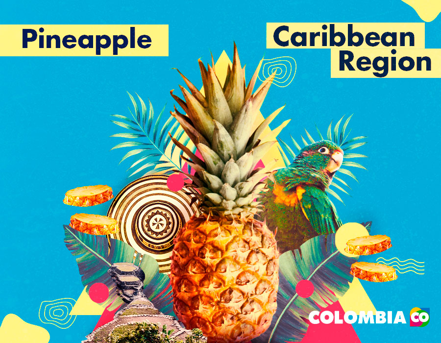 Collage of elements from the Caribbean Region, among them, its tropical fruits such as pineapple.