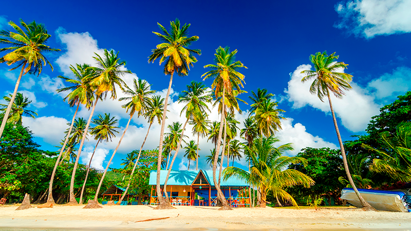 Colorida casa tradicional rodeada de palmas de coco en San Andrés