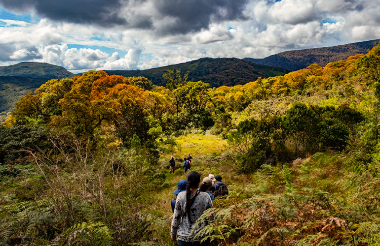Turistas recorriendo el Santuario de Fauna y Flora Guanentá Alto Río Fonce 