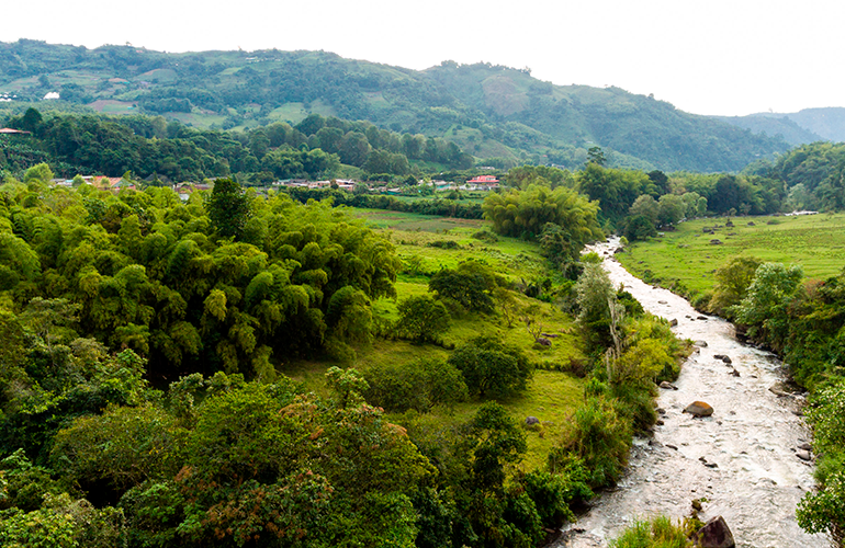 Diverso paisaje pereirano que puedes conocer gracias a Nature Trips Colombia