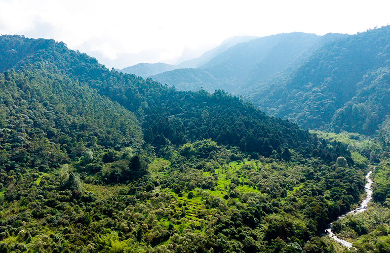 Montañas del eje cultural cafetero en Risaralda, uno de los destinos de Nature Trips Colombia
