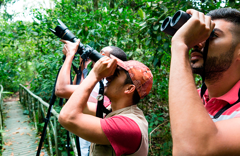 El avistamiento de aves en Risaralda es uno de los planes que puedes realizar con Nature Trips Colombia