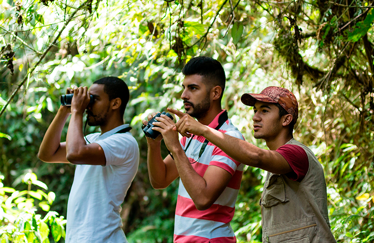 Guía de Nature Trips Colombia acompañando a fanáticos del avistamiento de aves en Risaralda