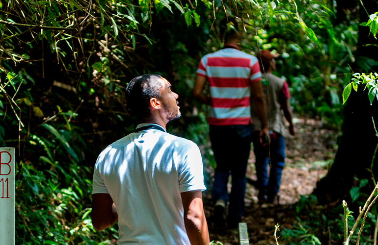 Turistas recorriendo la selva de Risaralda con Nature Trips Colombia