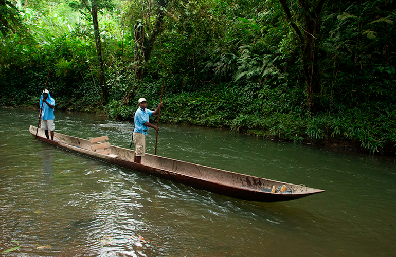 Hombres dirigiendo una canoa a través un río en el Chocó