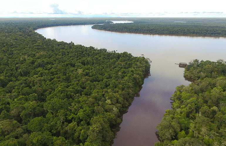 Río Inírida rodeado de la selva colombiana