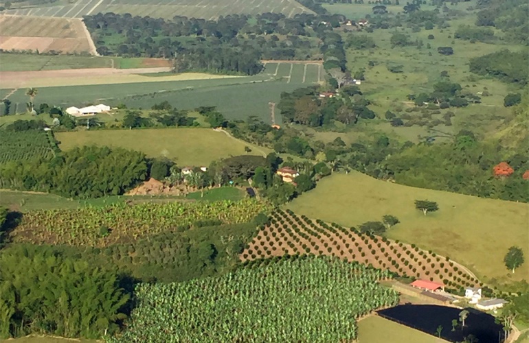 Hot air balloon ride in the Coffee Region.