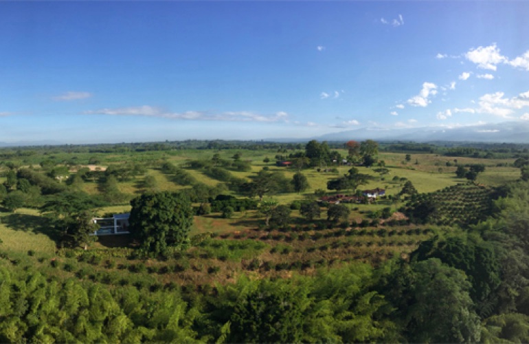 Hot air balloon ride in the Coffee Region.