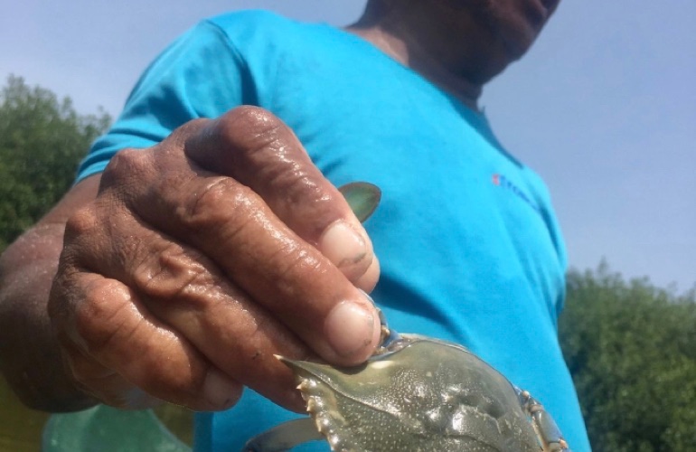 Pesca con locales en La Boquilla.