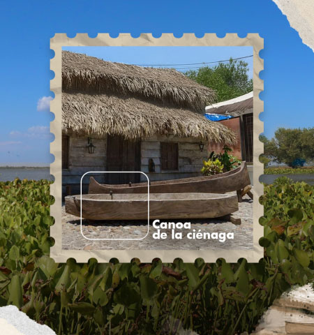 Canoas de la ciénaga
