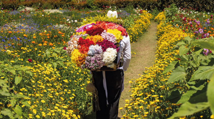 Hombre cargando flores para la exportación de flores colombianas