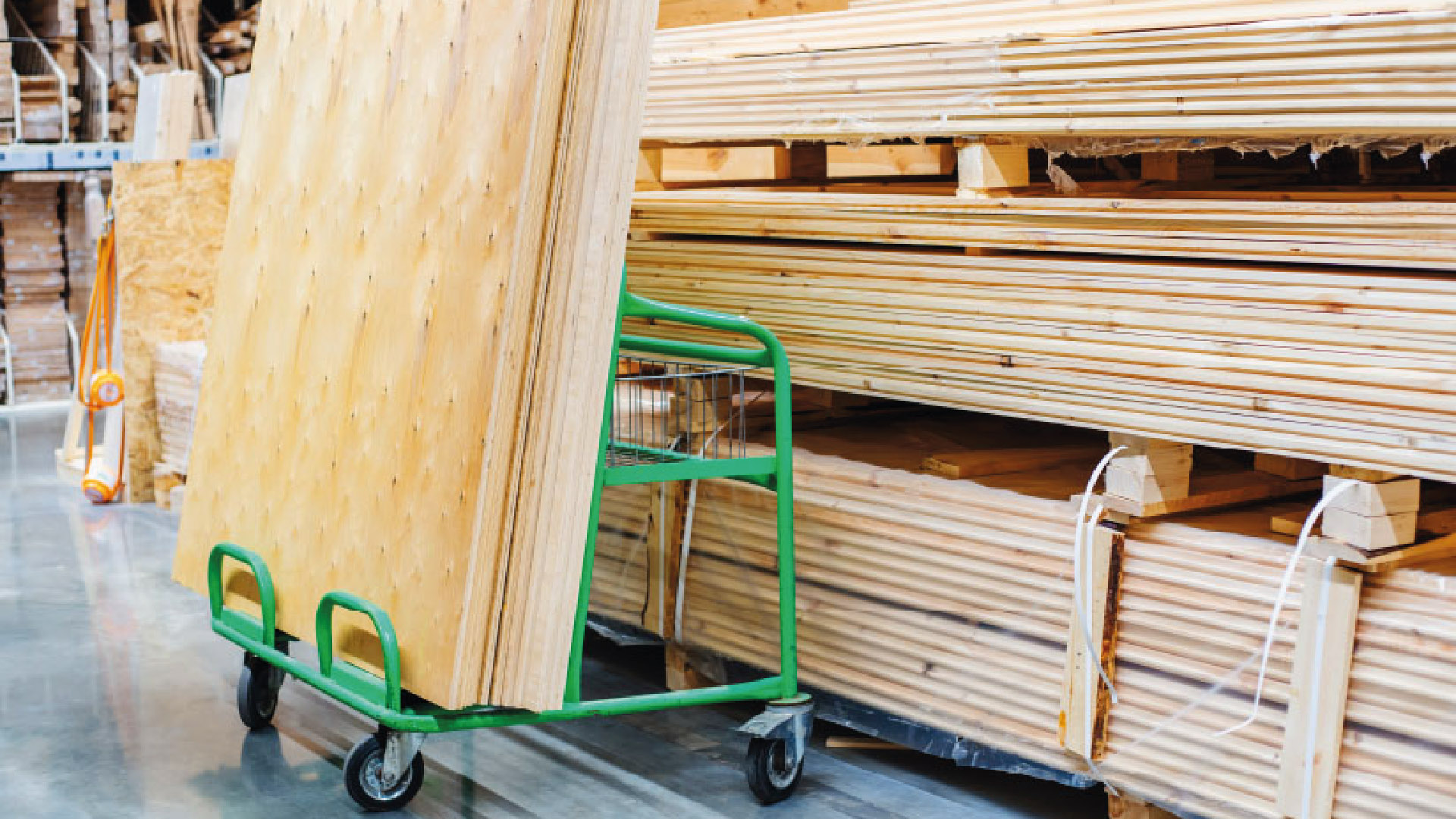 madera para exportar en Colombia.