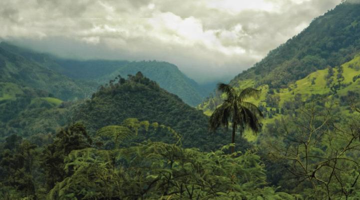 Cañón del Combeima, Tolima, Colombia.