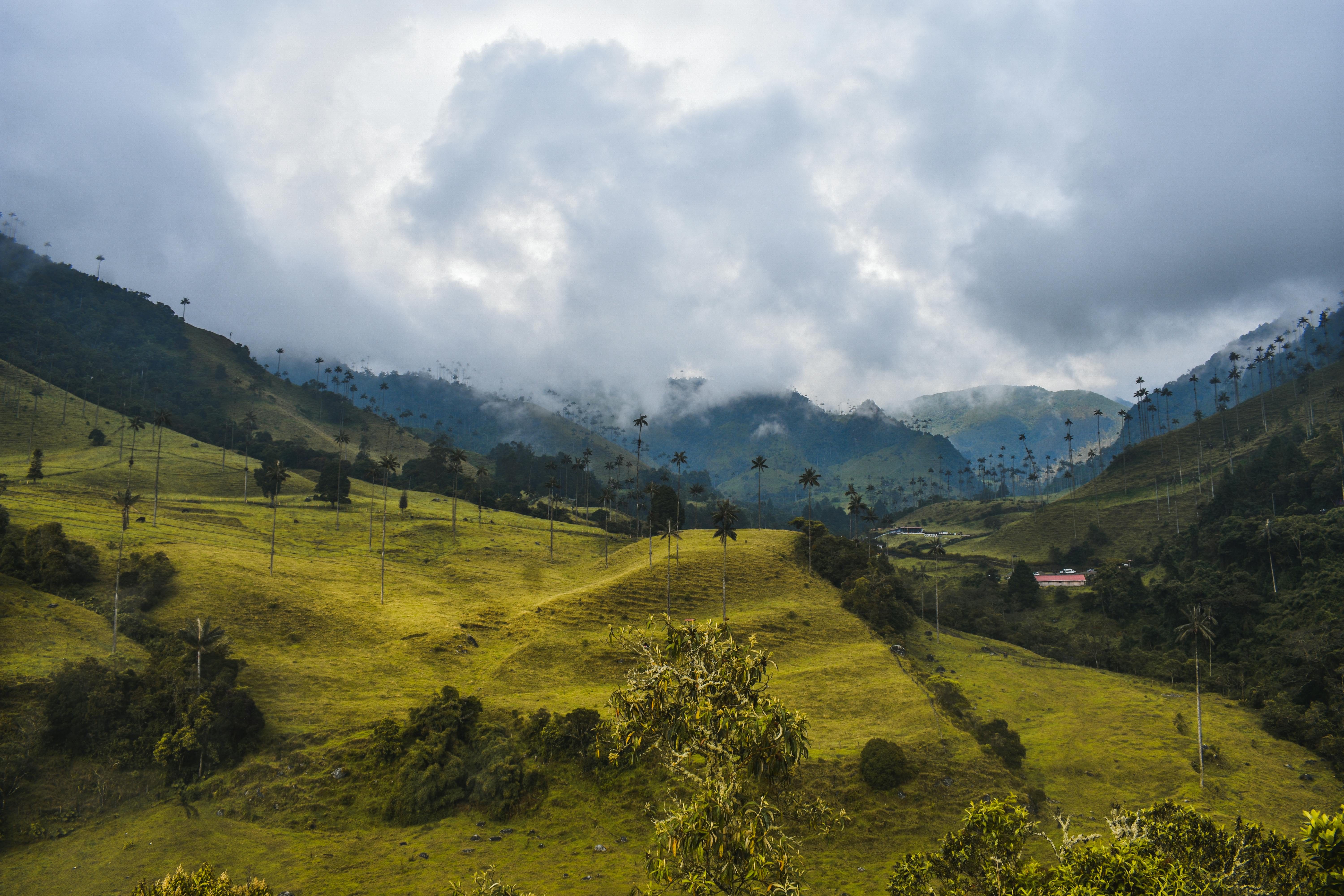 Acotur