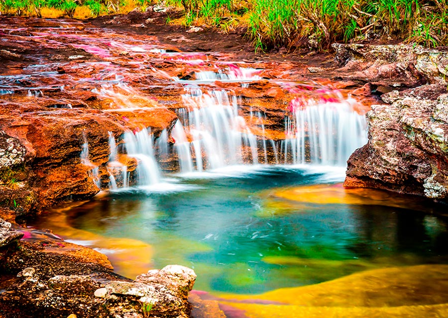 Caño Cristales es una maravilla natural, uno de los ríos más hermosos del mundo.