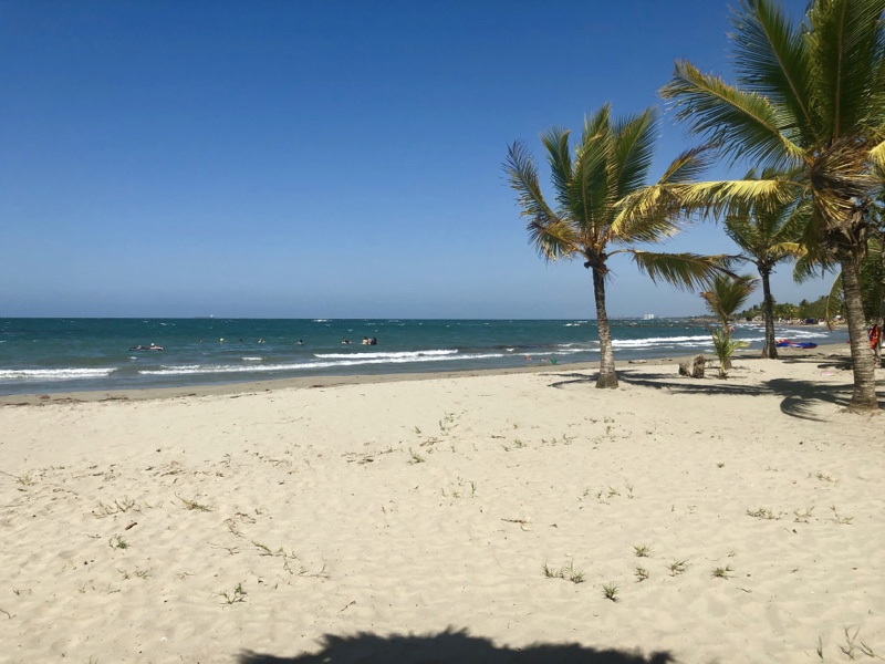 Una playa desierta con palmeras te espera en Coveñas. Descubre las playas escondidas de Colombia.