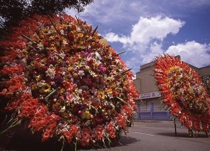Exploring Feria de las Flores: Colombia's Incredible Flower