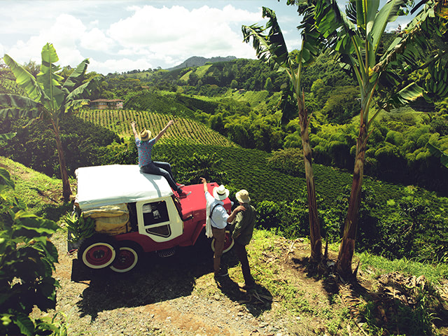 Un viaje inolvidable a través de la ruta del café colombiano.