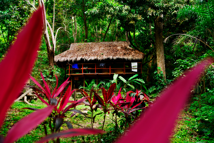 A cabin in the woods in Minca, one of the best places this travel trivia might suggest you to go.