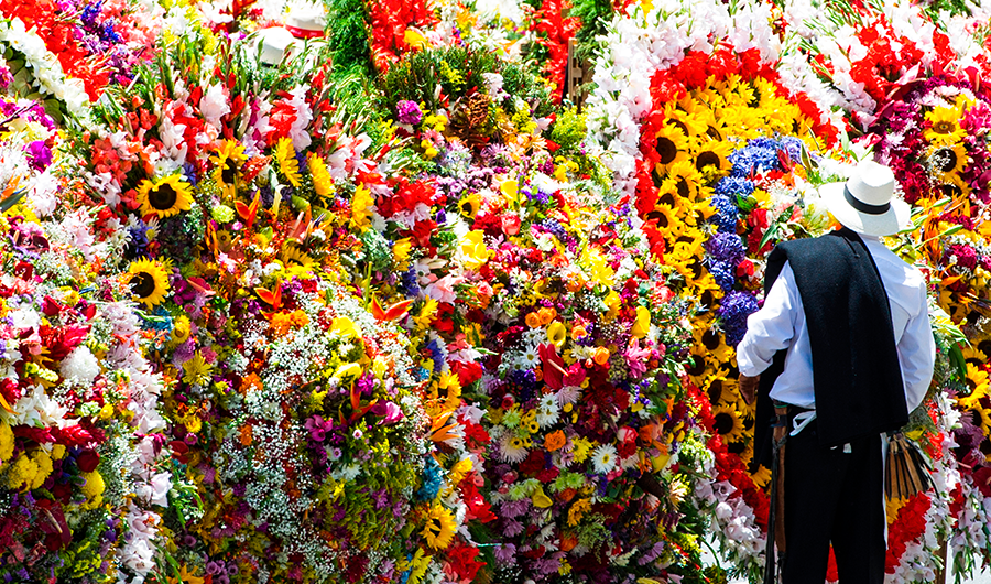 Campesino apreciando los diseños florales más coloridos del desfile de silleteros