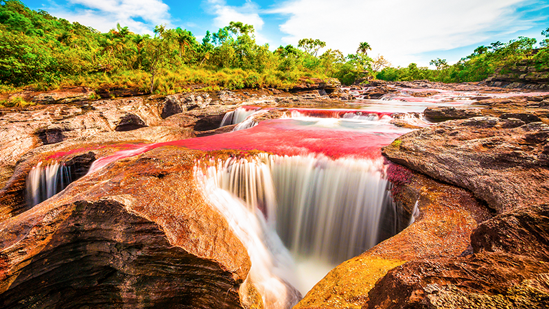 Enamórate de Caño Cristales, "el río de los sitios colores", Parque Nacional Serranía de la Macarena