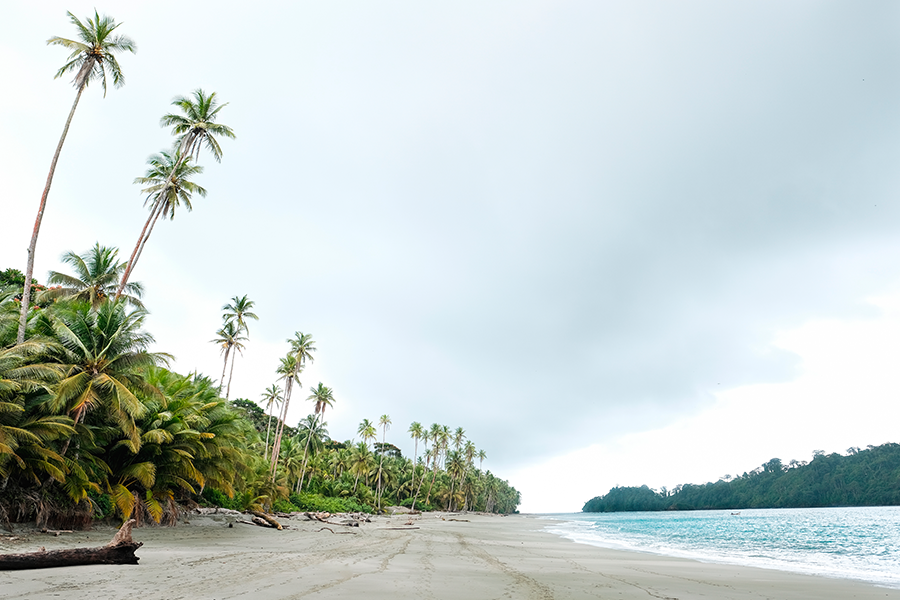 Quiet beach in Colombian's Pacific Coast, a place to try different nature and adventure experiences.