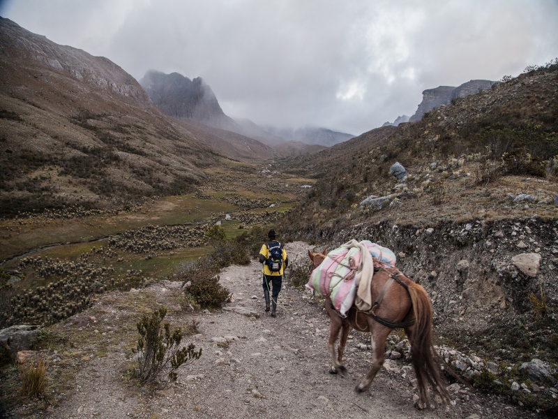Panorámica del nevado El Cocuy y un campesino con su caballo.
