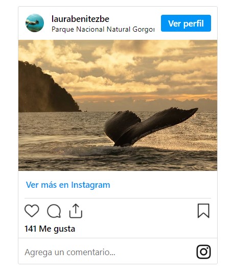 Parque Natural Gorgona
