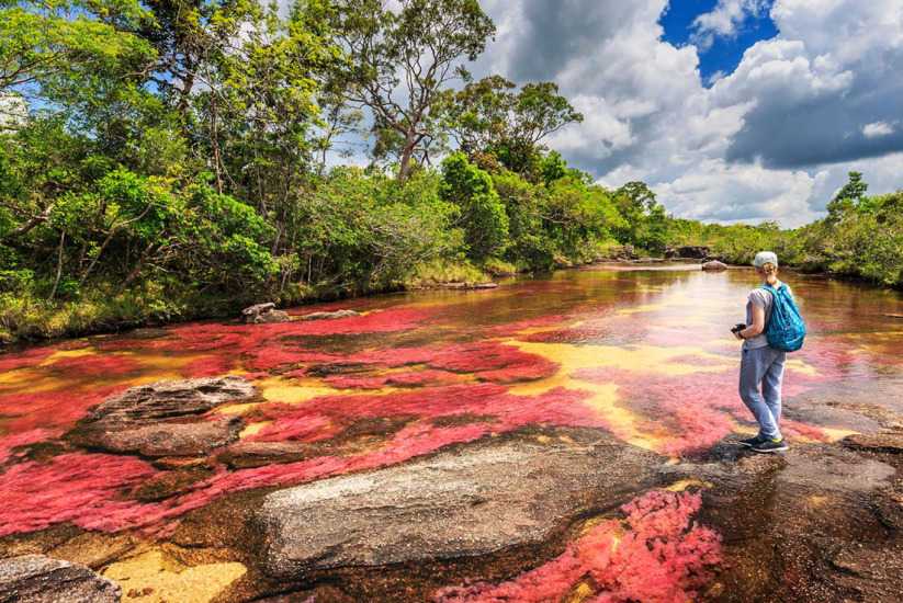 Caño Cristales
