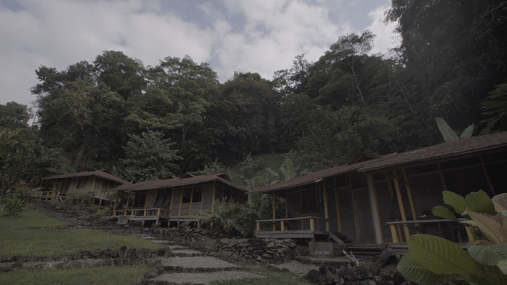 Casas y árboles en Chocó Colombia