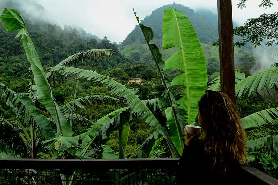 A tourist enjoys the landscape of La Palma y el Tucán a Colombian coffee brand farm