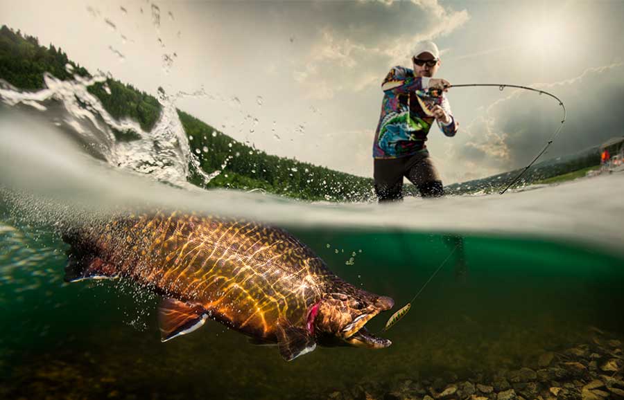 Un pez a punto de morder el anzuelo en una actividad de pesca deportiva