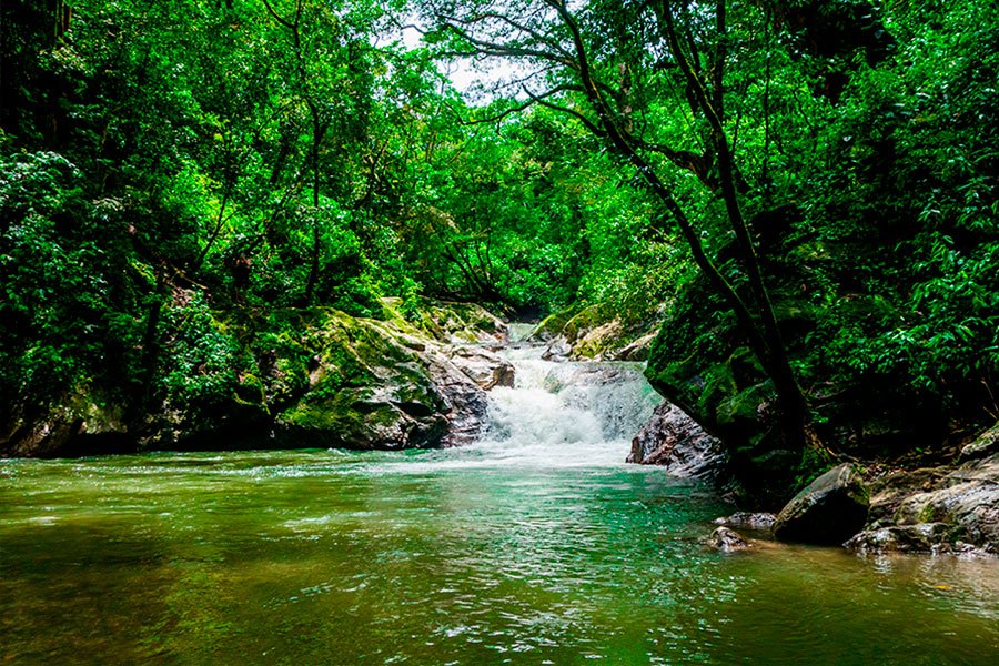 The Marinka waterfalls surrounded by vegetation in Minca, a great destination to visit in Colombia.