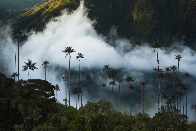 Parques Nacionales Naturales de Colombia