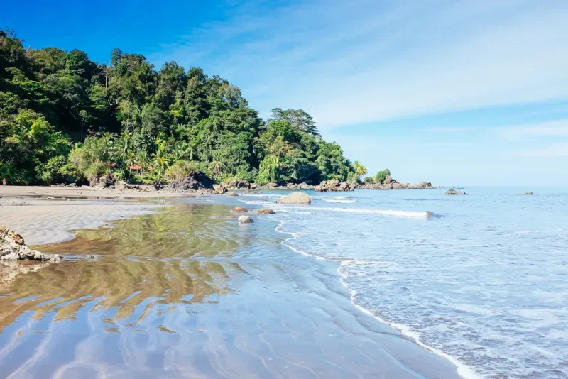 Conoce la región pacífica colombiana y su biodiversidad