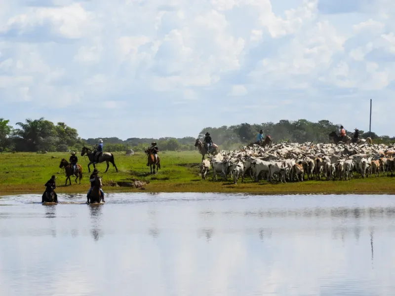 Yopal, Casanare