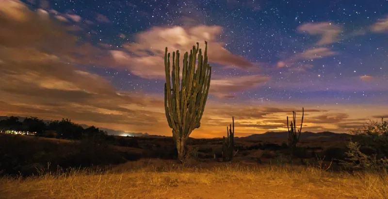 Desierto de la Tatacoa