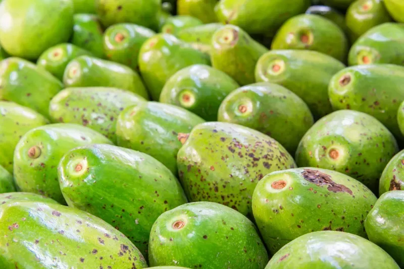 Aguacate Hass en plaza de Paloquemao en Bogotá