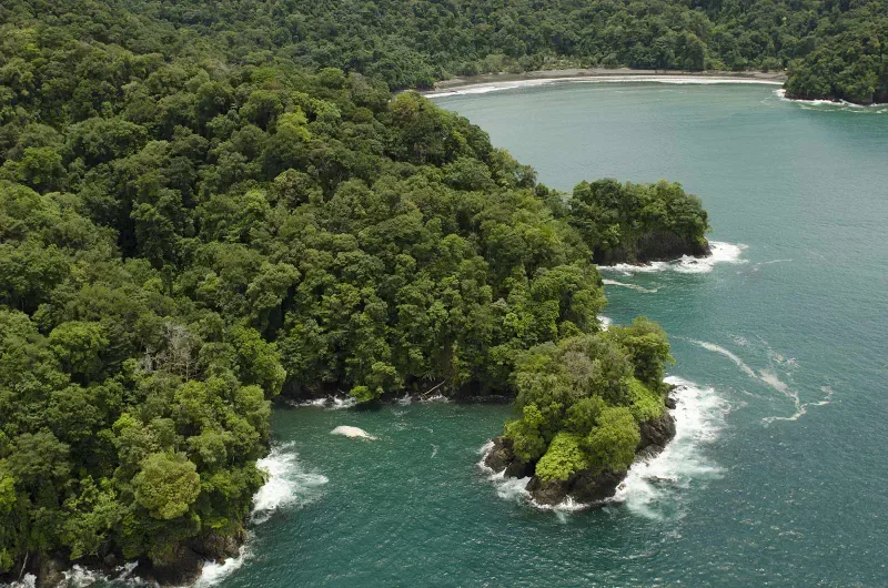 La majestuosa costa cerca de Nuquí en el Chocó donde se junta la basta vegetación y el azul de sus aguas