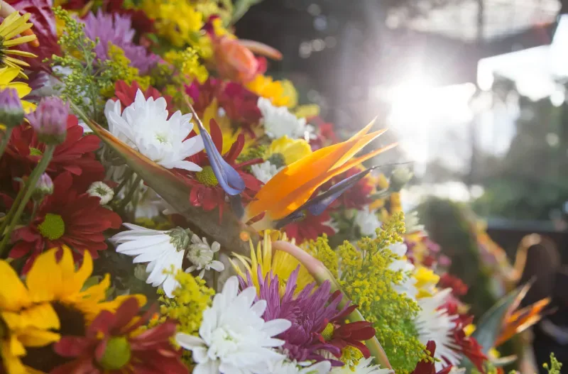 Feria de las Flores Medellín, Antioquia