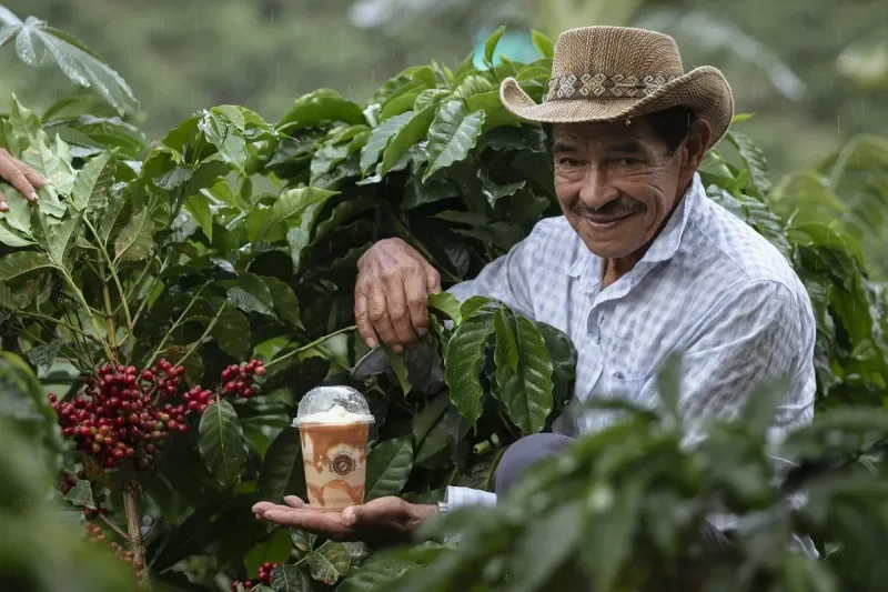 Taste the best coffee: the colombian one 