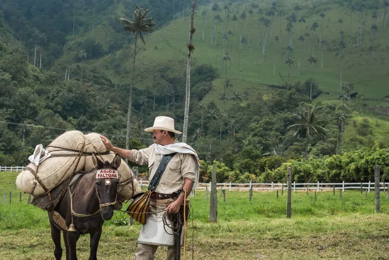 Arriero