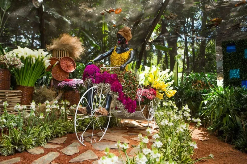 Feria de las Flores