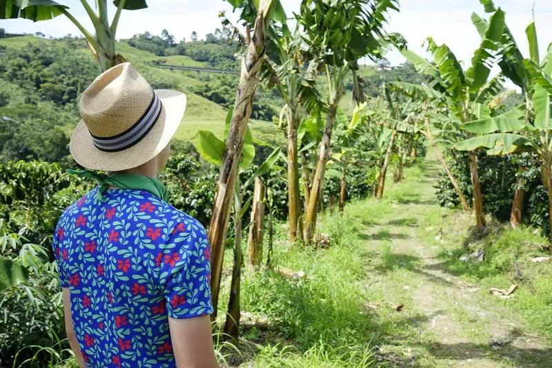 Turista en un paisaje cafetero en Armenia Colombia