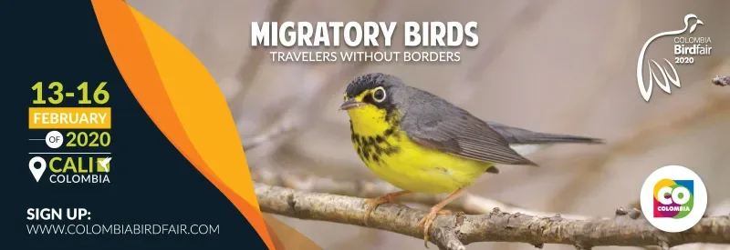 birdfair 2020
