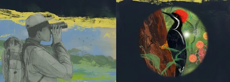 observação de aves jovens na colômbia - pintura de Bird Watching