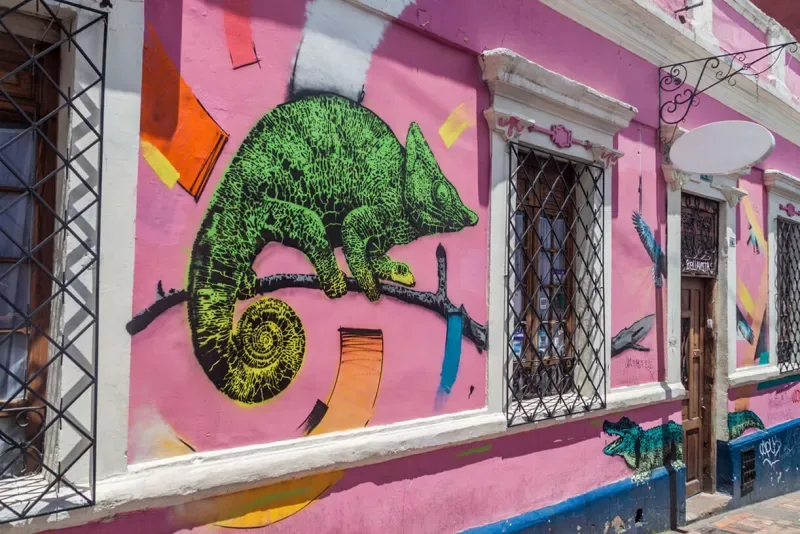 Painting of a green chameleon on a pink colonial house